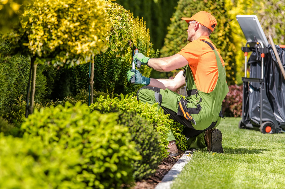 landscape maintenance Utah